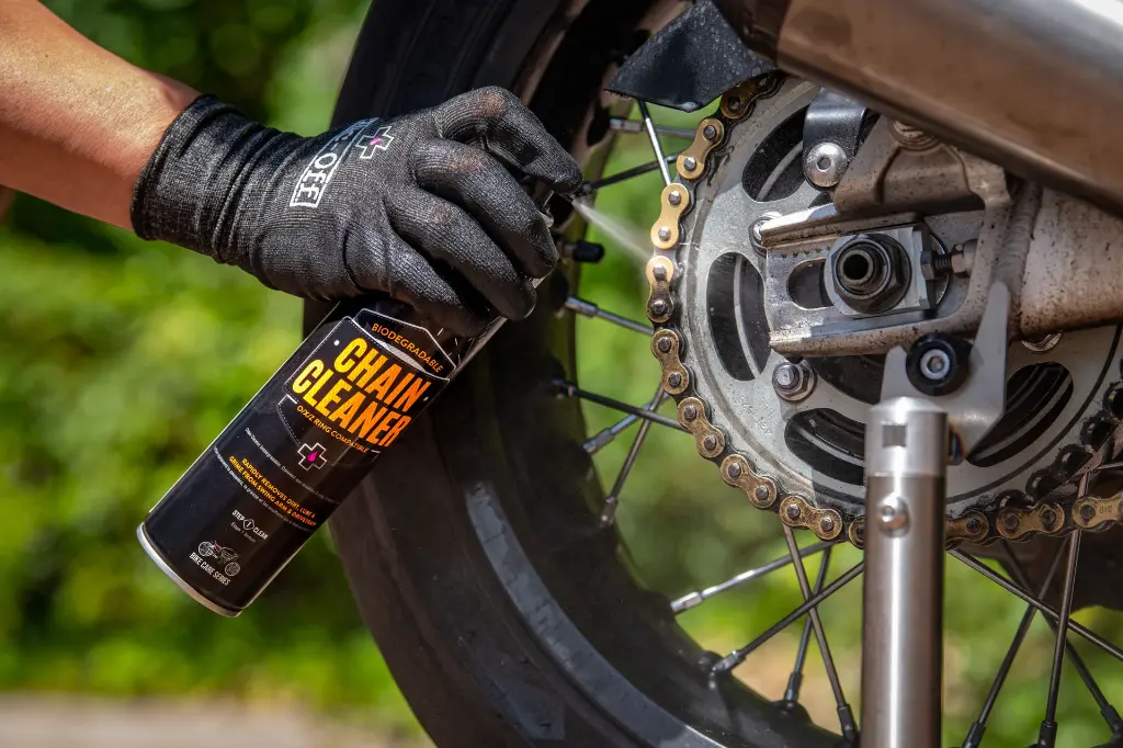 Alex Triumph Thruxton - DSC_2028.webp