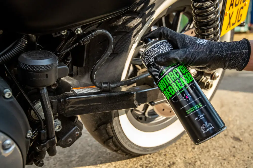 Harley Davidson (Amy) - DSC_2201 - copia.webp