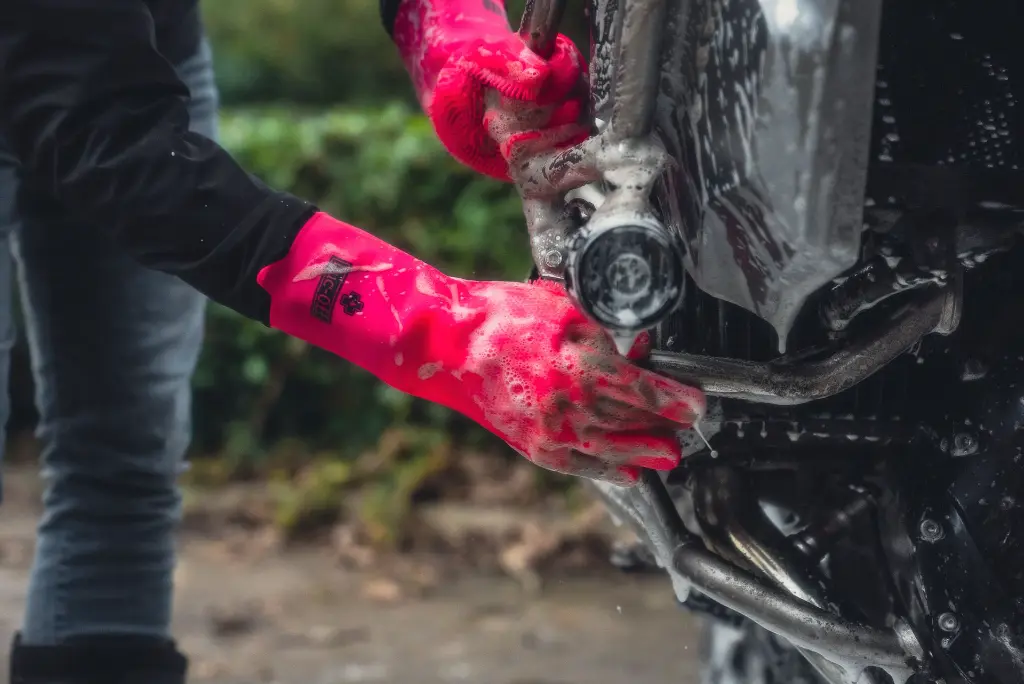 BMW GS - DSC03287.webp