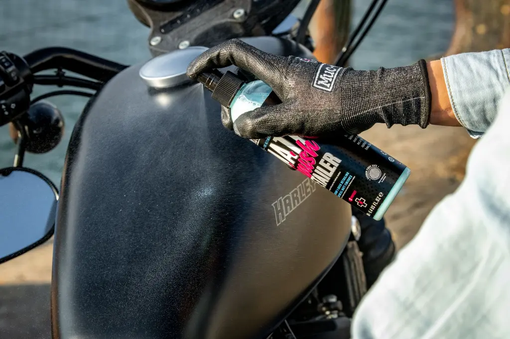 Harley Davidson (Amy) - DSC_2408.webp