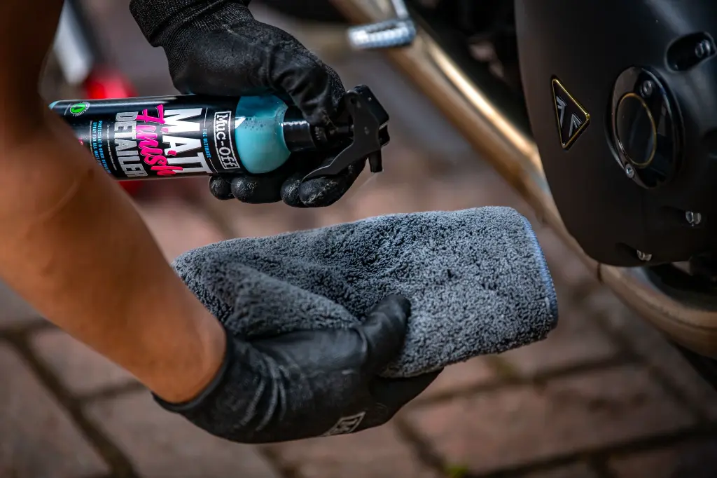 Alex Triumph Thruxton - DSC_2900.webp