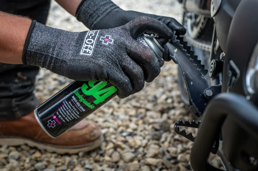 Triumph Scrambler PW CPL - DSC_3797.webp