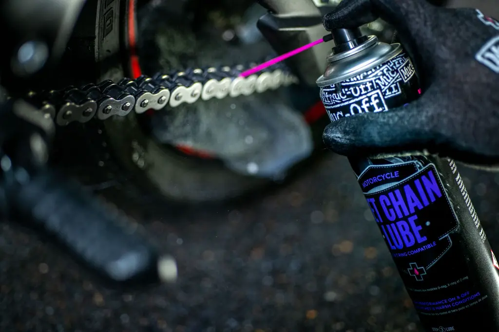 MV Agusta CPL - DSC_2417.webp