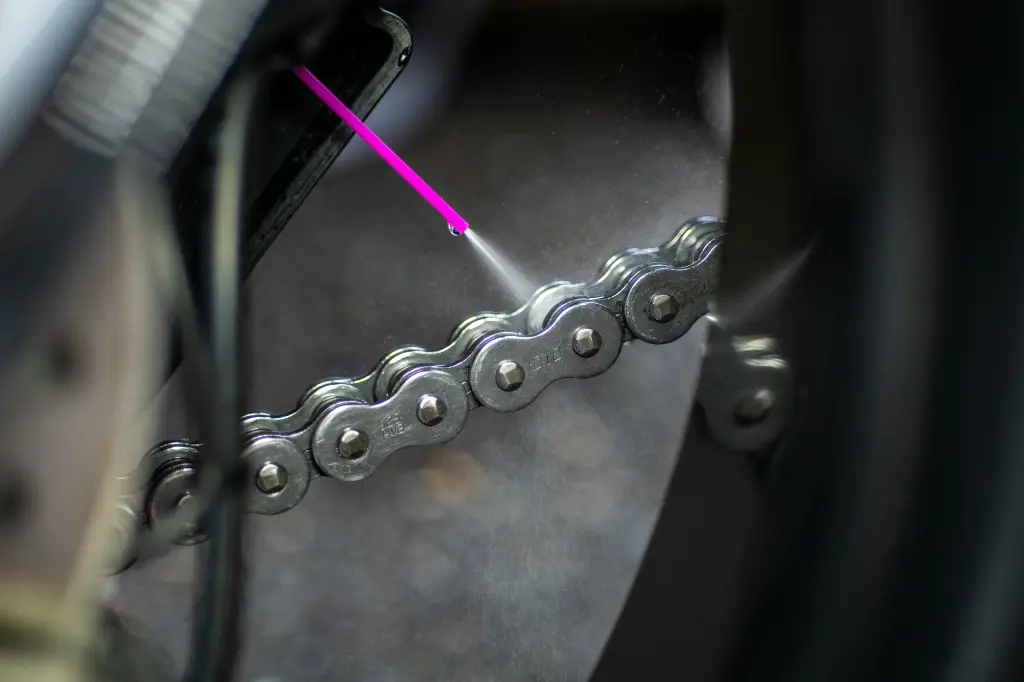 MV Agusta CPL - DSC_2354.webp