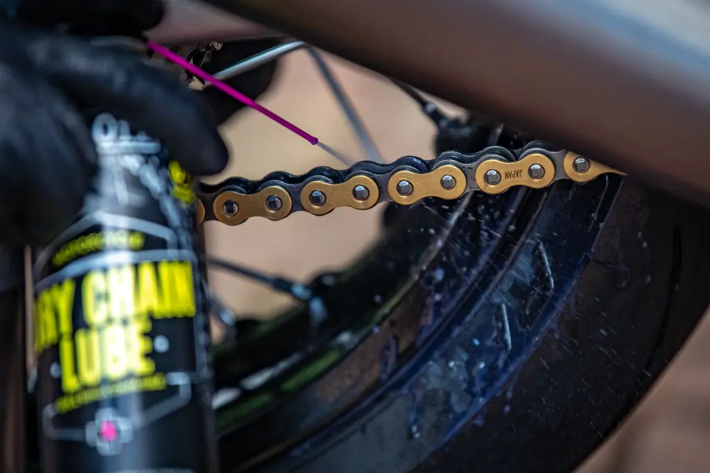 Alex Triumph Thruxton - DSC_2943.webp