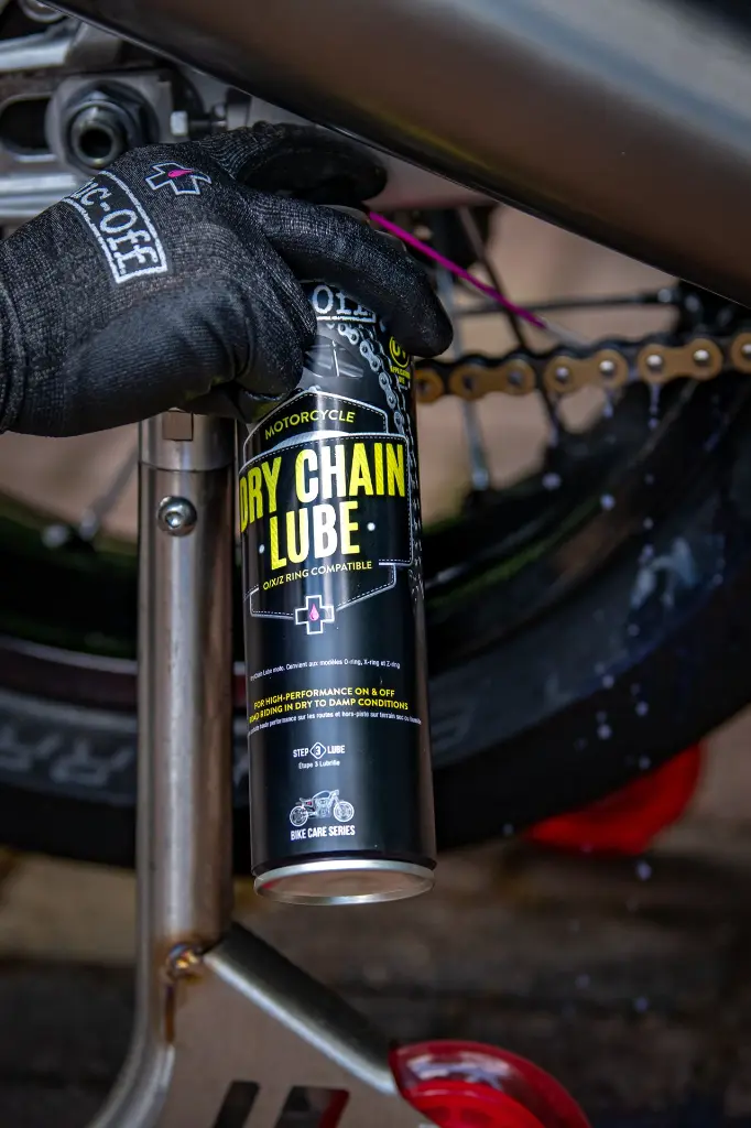 Alex Triumph Thruxton - DSC_2939.webp