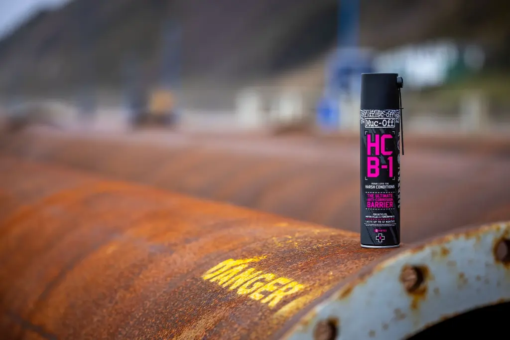 HCB-1 Posed Lifestyle - MR5_4266.webp