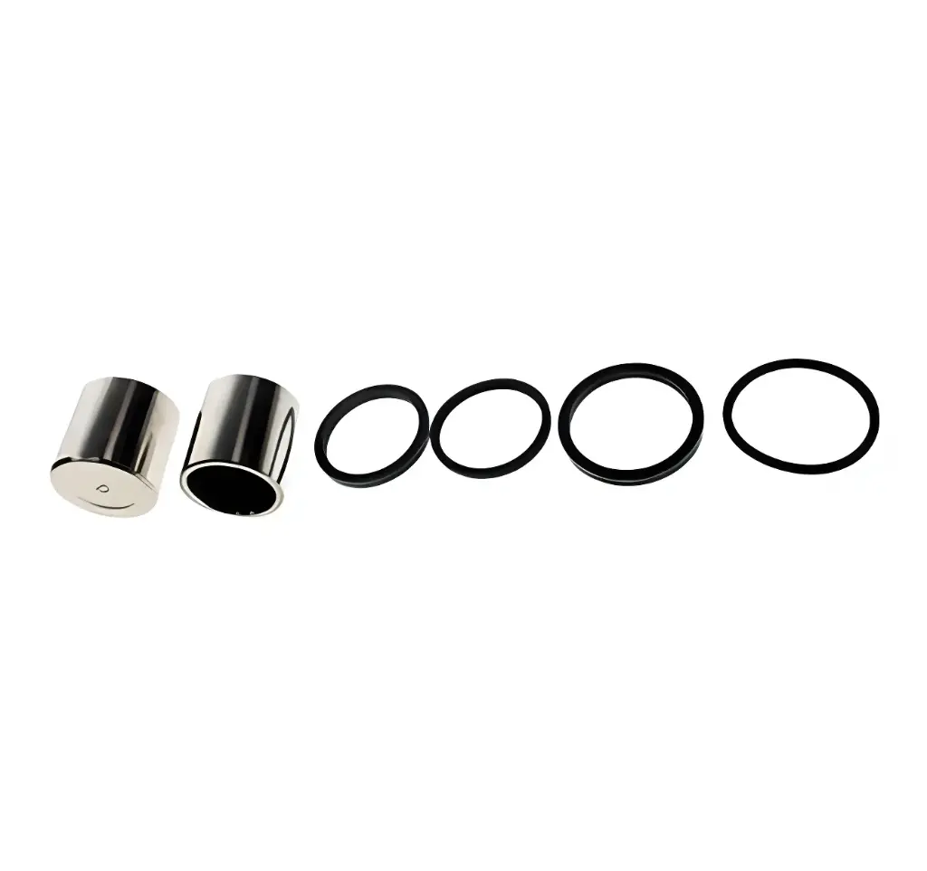 CONJUNTO PISTON Y PINZA DE FRENO