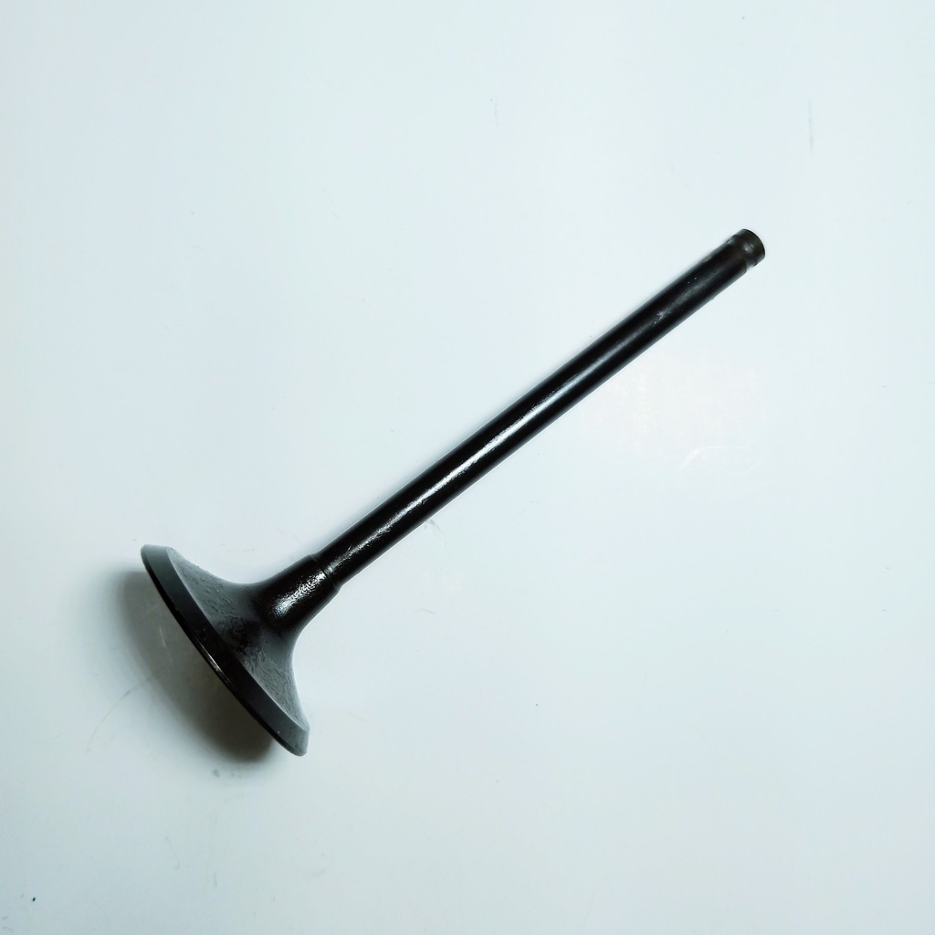 VALVULA DE ADMISION HONDA CARGO/TITAN 150 09-