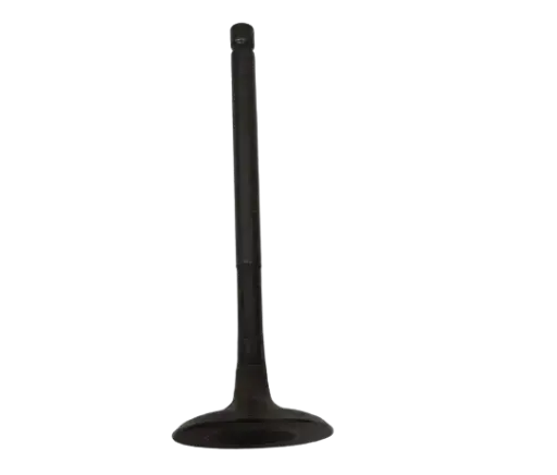 [2GSE211100] VALVULA DE ADMISION YAMAHA FZ 2.0. ORIGINAL