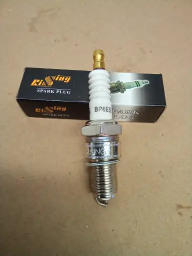 [BP6ES] BUJIA RISING