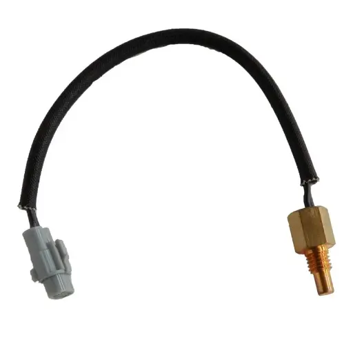 [1S48359101] TERMOSTATO