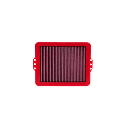 [FM01004] FILTRO DE AIRE BMW F 750 GS