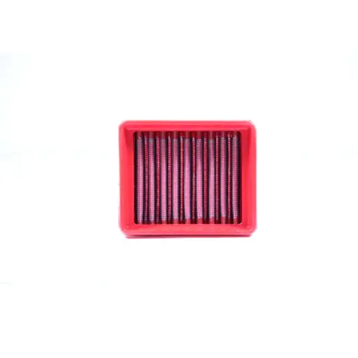 [FM993/20] FILTRO DE AIRE BMW G 310 R/GS